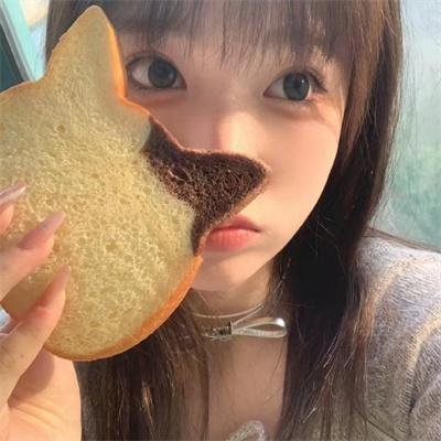 高龄化家族